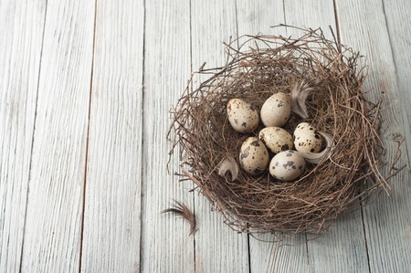 birds eggs in nest on rustic wooden backgroundの写真素材