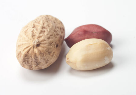 Peanuts on a white backgroundの写真素材