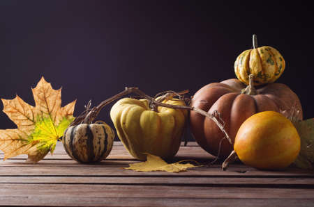 Art autumn Pumpkin thanksgiving backgroundの写真素材