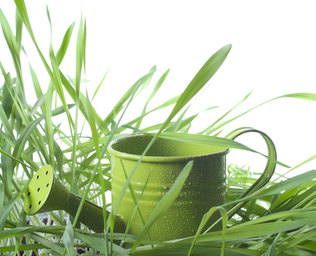 watering can on a grass backgroundの写真素材