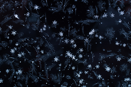 Frosty natural pattern on winter windowの写真素材