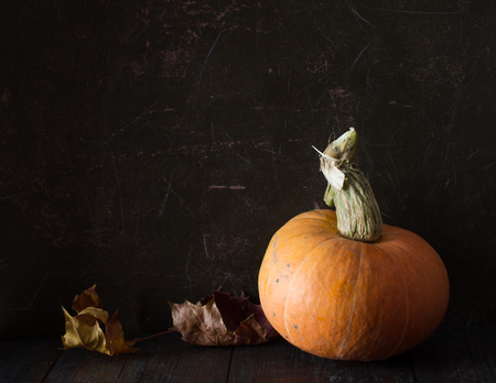 Thanksgiving day autumnal still life with pumpkins on old wooden tableの写真素材