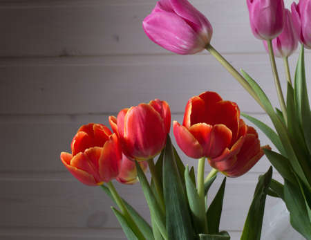 Bouquet of tulips on a wooden background