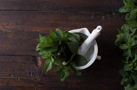 peppermint leaves in a mortarの写真素材