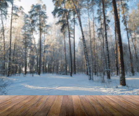 wood background against the background of the winter forestの写真素材