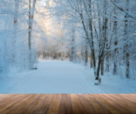 wood background against the background of the winter forestの写真素材