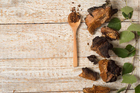 Healthy pure wild natural chaga mushroom