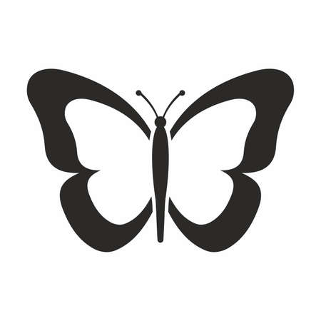 白い蝶の写真 イラスト素材一覧 229 954件 ストックフォトのamanaimages Plus