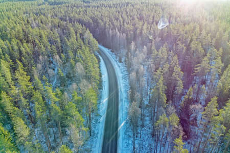 Road in winter forest lit by the sunの写真素材