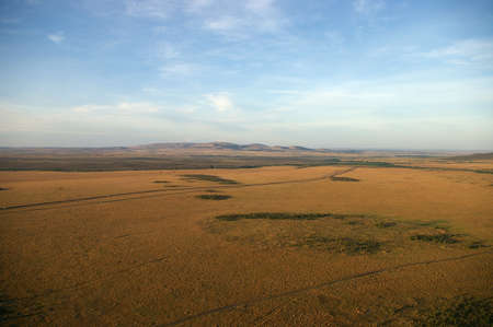 Serengeti-plainの写真素材