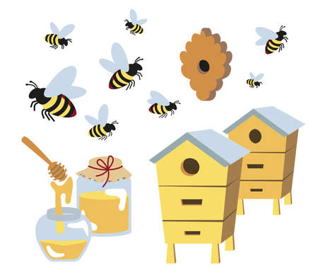 set of bees, glass jars of honey and various hives, a ladle for honey. Beekeeping, beekeeping equipment, cartoon objects isolated on a white background stock vector illustration.のイラスト素材