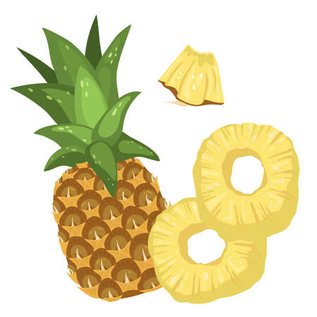 set of pineapples. A whole pineapple, rings and slice isolated on a white background. Vector illustration of tropical fruits in cartoon style for packaging, menus and recipesのイラスト素材