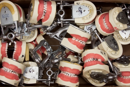 A lot of dental prothesis in occlusion in a boxの写真素材