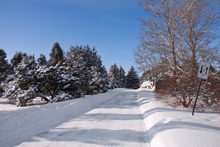 Winter landscape with a lot of snow and a road who cut the forest and a two_way traffic signの写真素材