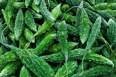 Bitter melon raw backgroundの写真素材