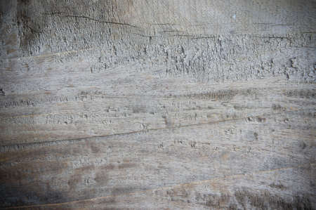 Texture wood backgroud , wooden oak dirty older style background