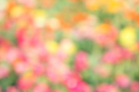 abstract blur colorful style backgroundの写真素材