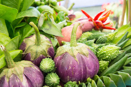 Different raw vegetables background , Healthy eating , organic vegetables herbの写真素材