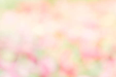 Texture colorful blur background , abstract color blur paintの写真素材