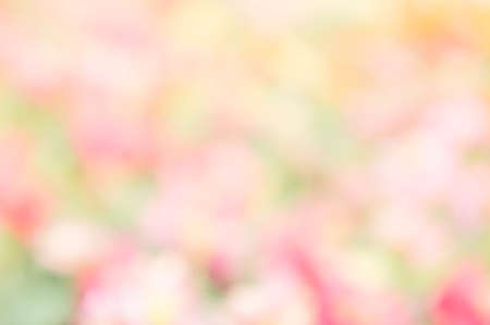 Texture colorful blur background , abstract color blur paintの写真素材