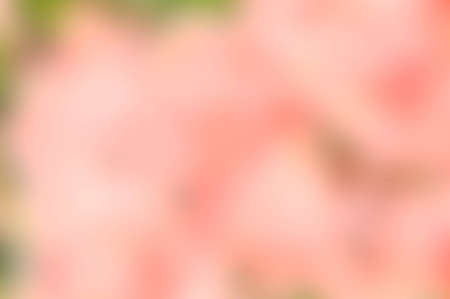 texture nature blur backgroundの写真素材