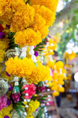 Belief in worship in sacred Buddhist.の写真素材