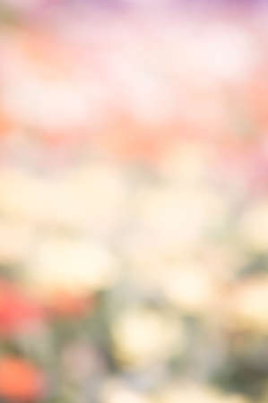 abstract nature colorful blur background color  pink green yellow white mix for bacgroundの写真素材