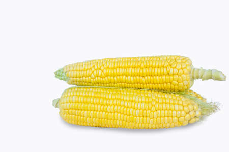 Sweet corn is delicious and ready to eat. Vegetables are beneficial to the body, have vitamins and delicious taste. on white backgroundの写真素材