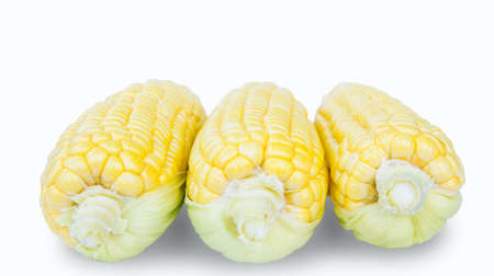 Sweet corn is delicious and ready to eat. Vegetables are beneficial to the body, have vitamins and delicious taste. on white backgroundの写真素材