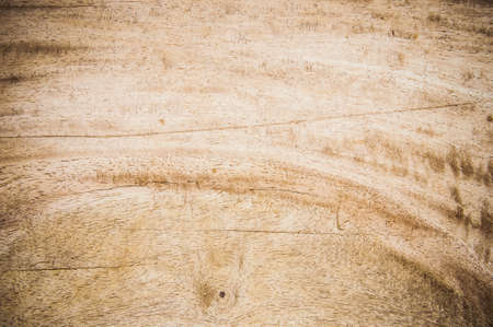 Texture wood background , basic classic wood style for deskwork or floor, table wood background styleの写真素材
