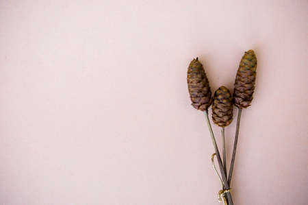 Hay flowers on the background vintage style decor and copy spaceの写真素材