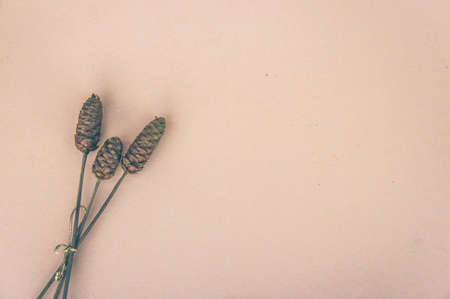 Hay flowers on the background vintage style decor and copy spaceの写真素材