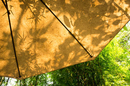 Shade of leaves , on yellow umbrella outdoor in the gardenの写真素材