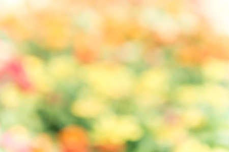 abstract colorful mix nature blur backgroundの写真素材