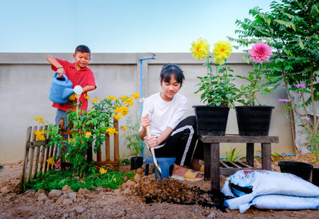 Activities take children to plant trees boy and girl's  help each other plant trees and flowersの写真素材