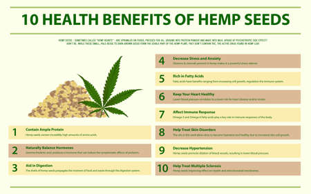 10 Health Benefits of Hemp Seeds horizontal infographic illustration about cannabis as herbal alternative medicine and chemical therapy, healthcare and medical science vector.のイラスト素材