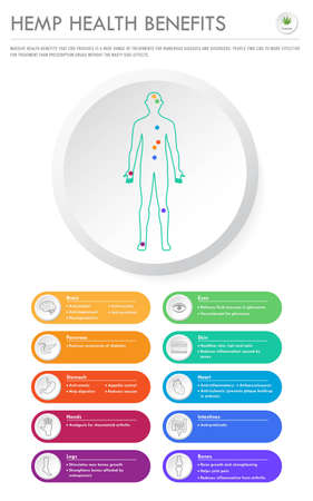Hemp Health Benefits vertical business infographic illustration about cannabis as herbal alternative medicine and chemical therapy, healthcare and medical science vector.のイラスト素材