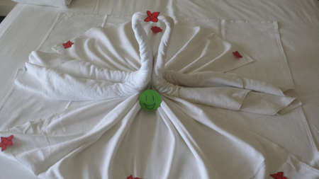 Swans of towelsの写真素材