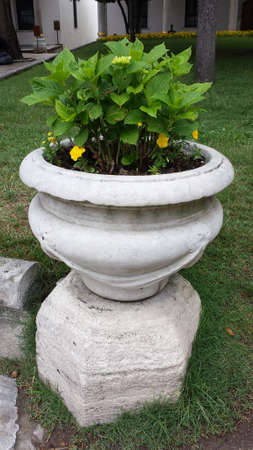Stone pot with flowersの写真素材