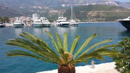 Budva, Montenegro - June 27, 2017: Boats, yachts in the beautiful Dukley Marina Budvaのeditorial素材