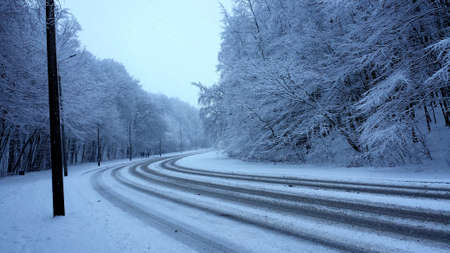 Winter forest. Street and sidewalk in a snowy forest, without people.の写真素材