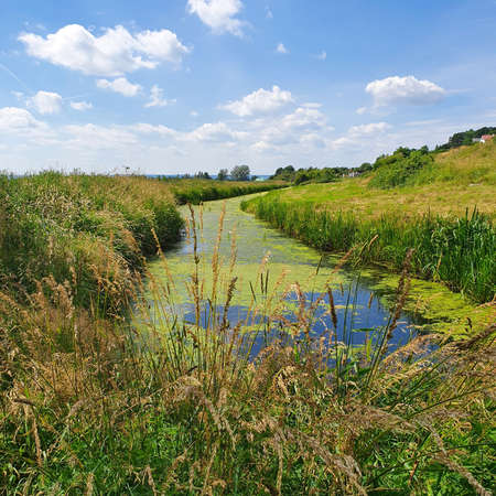 Boggy areas in the Beka Reserve, Polandの写真素材