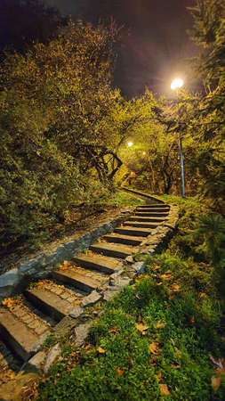 Mysterious stone winding stairs in the green dense forest.の写真素材
