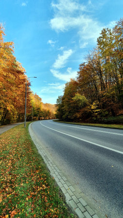 Road in the autumn forest. Street and pavement in the autumn forest, no people or cars.の写真素材