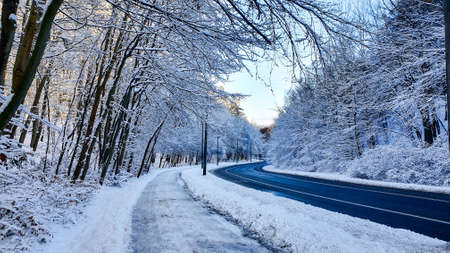 Winter forest. Street and sidewalk in a snowy forest, without people.