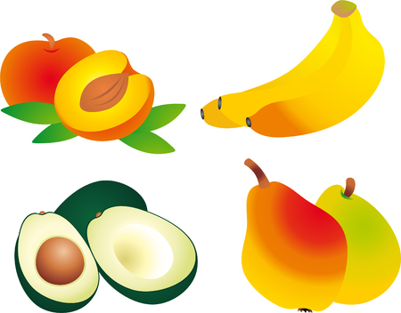 Fruits vector のイラスト素材