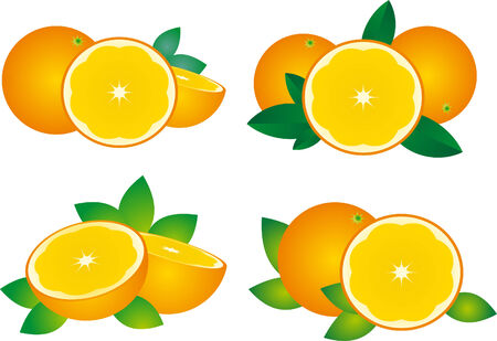 Orange vector のイラスト素材