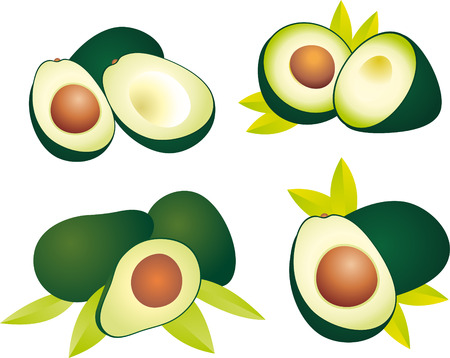 Avocadoのイラスト素材