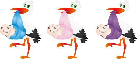 Stork のイラスト素材