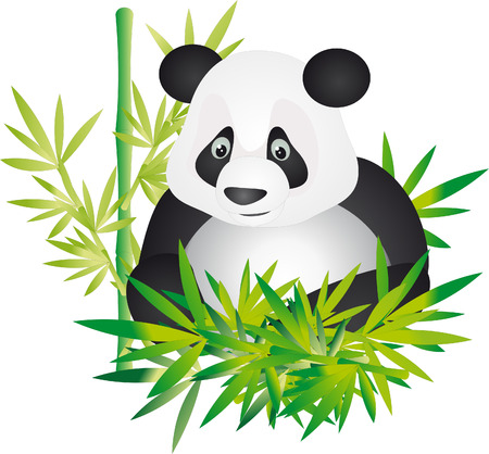 Panda のイラスト素材